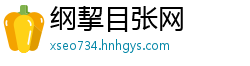 纲挈目张网